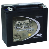 SSB DRY FIT HIGH PERFORMANCE 12V BATTERY - HVT-1