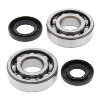 ALL BALLS RACING ENGINE MAIN BEARING KIT - 24-1009