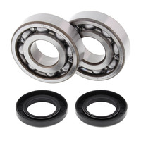 ALL BALLS RACING CRANK SHAFT BEARING KIT - 24-1011