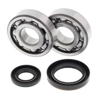 ALL BALLS RACING CRANK SHAFT BEARING KIT - 24-1019