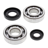 ALL BALLS RACING CRANK SHAFT BEARING KIT - 24-1029