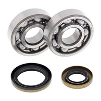 ALL BALLS RACING CRANK BEARING SEAL KIT - 24-1110