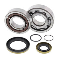 ALL BALLS RACING CRANK BEARING SEAL KIT - 24-1115