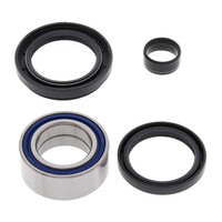 ALL BALLS RACING WHEEL BEARING KIT - 25-1003