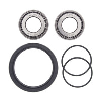 ALL BALLS RACING WHEEL BEARING KIT - 25-1008