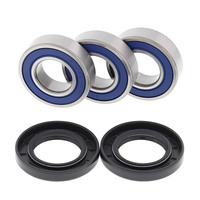 ALL BALLS RACING WHEEL BEARING KIT - 25-1021