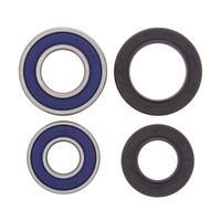 ALL BALLS RACING WHEEL BEARING KIT - 25-1035