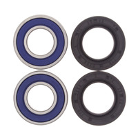 ALL BALLS RACING WHEEL BEARING KIT - 25-1070