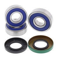 ALL BALLS RACING WHEEL BEARING KIT - 25-1264