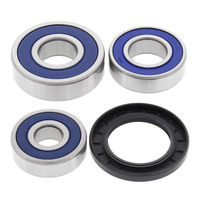ALL BALLS RACING WHEEL BEARING KIT - 25-1489