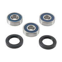 ALL BALLS RACING WHEEL BEARING KIT - 25-1755