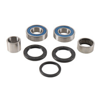 ALL BALLS RACING WHEEL BEARING KIT - 25-1789