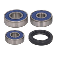 ALL BALLS RACING WHEEL BEARING KIT - 25-1793
