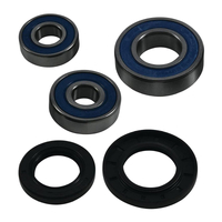 ALL BALLS RACING REAR WHEEL BEARING KIT - 25-1795