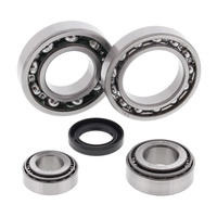 ALL BALLS RACING DIFFERENTIAL BEARING & SEAL KIT - 25-2019