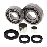 ALL BALLS RACING DIFFERENTIAL BEARING KIT - 25-2053