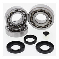 ALL BALLS RACING DIFFERENTIAL BEARING KIT - 25-2058