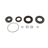 ALL BALLS RACING TRANSAXLE SEAL KIT - 25-2114-5