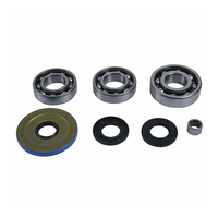 ALL BALLS RACING FRONT DIFFERENTIAL BEARING & SEAL KIT - 25-2119
