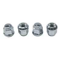 ALL BALLS RACING ATV/UTV WHEEL NUT KIT - 85-1241