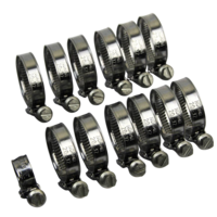 EAZI-GRIP SILICONE HOSE CLAMP KIT - DUCATI 1098