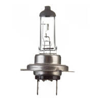 WHITES GLOBE 12V 55W H/L H7 HALOGEN (EACH)