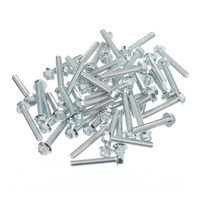 WHITES BOLT FLANGE - 8x50MM (50 PACK)