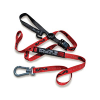 WORX M1.0 TIE DOWN SET RED