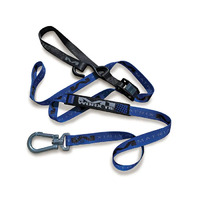 WORX M1.0 TIE DOWN SET BLUE