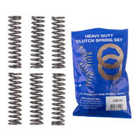 Premier Heavy Duty Clutch Springs - CSK10