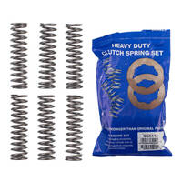 Premier Heavy Duty Clutch Springs - CSK112