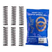 Premier Heavy Duty Clutch Springs - CSK119