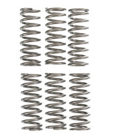 Premier Heavy Duty Clutch Springs - CSK122