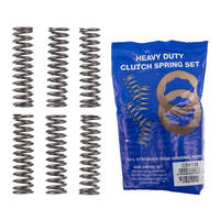 Premier Heavy Duty Clutch Springs - CSK128