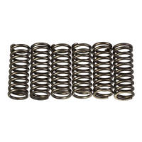 Premier Heavy Duty Clutch Springs - CSK175