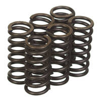 Premier Heavy Duty Clutch Springs - CSK2