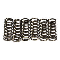 Premier Heavy Duty Clutch Springs - CSK210