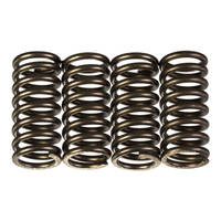 Premier Heavy Duty Clutch Springs - CSK212