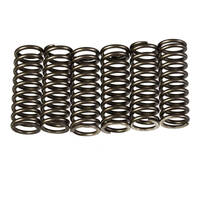 Premier Heavy Duty Clutch Springs - CSK213