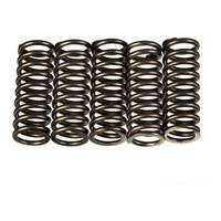 Premier Heavy Duty Clutch Springs - CSK214