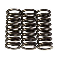 Premier Heavy Duty Clutch Springs - CSK218