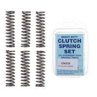 Premier Heavy Duty Clutch Springs - CSK219