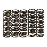 Premier Heavy Duty Clutch Springs - CSK223