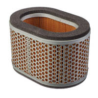 WHITES AIR FILTER TRIUMPH 955 SERIES 02-06 - 12-94213