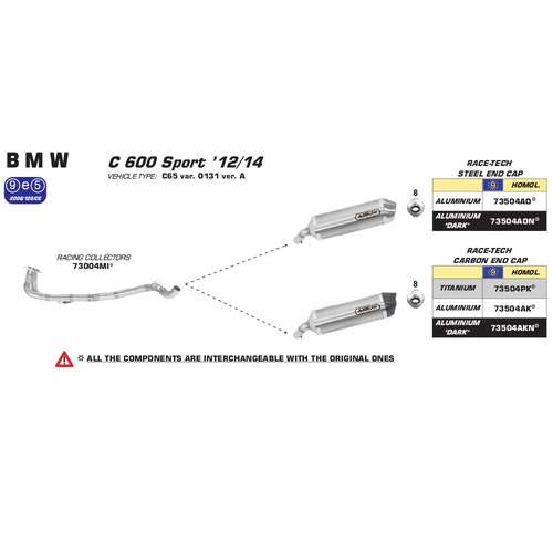 ARROW EXHAUST HOMOLOGATED TITANIUM RACE-TECH SLIP-ON CARBON CAP - BMW C 600 SPORT '12-13