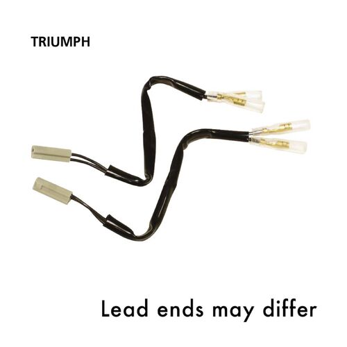 OXFORD INDICATOR LEADS TRIUMPH