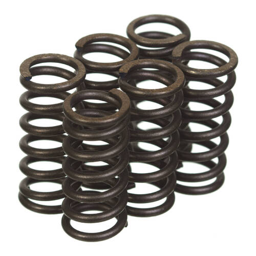 Premier Heavy Duty Clutch Springs - CSK2