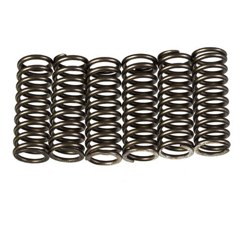 Premier Heavy Duty Clutch Springs - CSK213