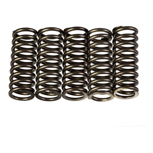 Premier Heavy Duty Clutch Springs - CSK214