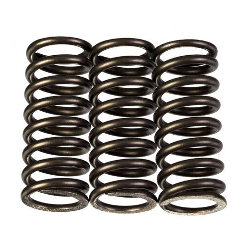 Premier Heavy Duty Clutch Springs - CSK218